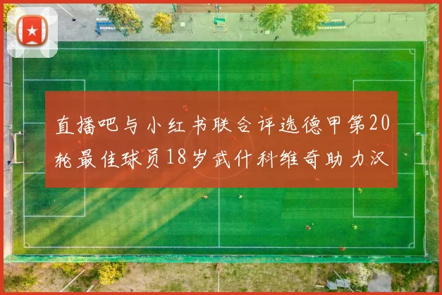 直播吧与小红书联合评选德甲第20轮最佳球员18岁武什科维奇助力汉堡逼平拜仁