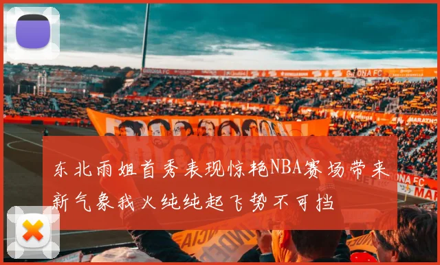 东北雨姐首秀表现惊艳NBA赛场带来新气象我火纯纯起飞势不可挡